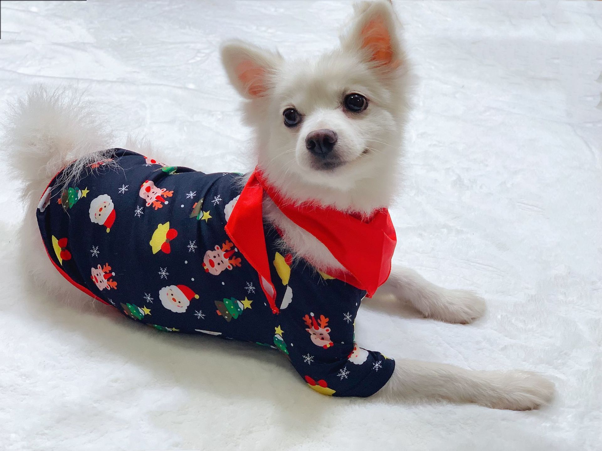 Family Christmas Matching Pyjamas Set